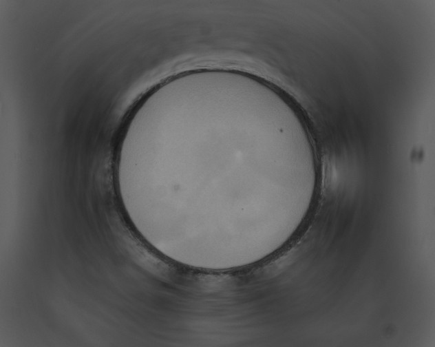 X0000089661498200707191637