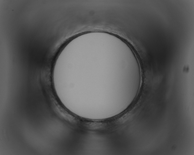 X0000089661499200707191637