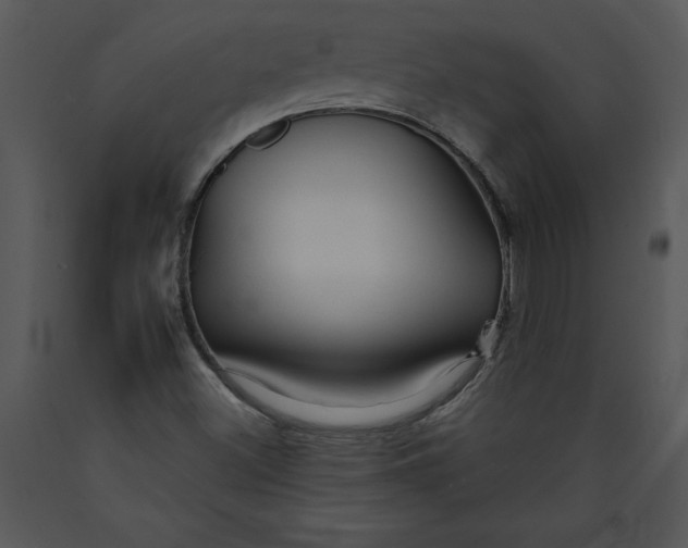 X0000089661500200707191637