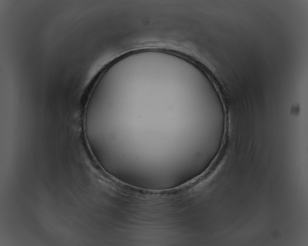 X0000089661501200707191637