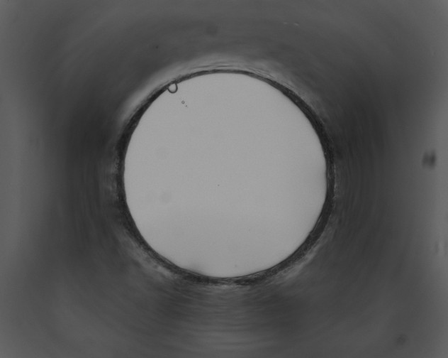 X0000089661502200707191637