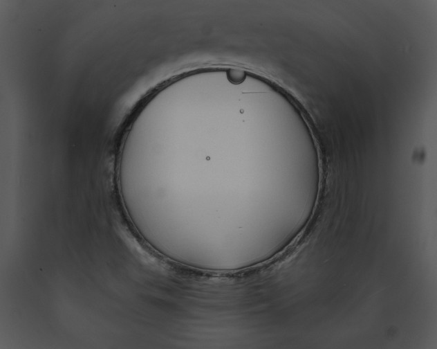 X0000089661503200707191637