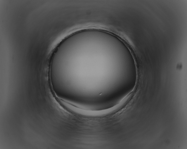 X0000089661504200707191637