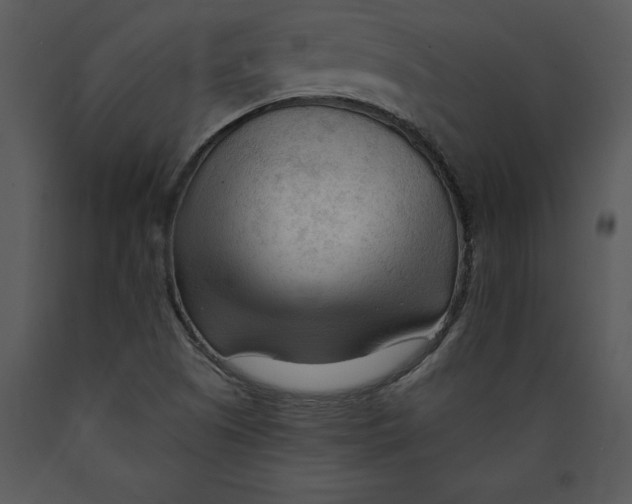 X0000089661505200707191637