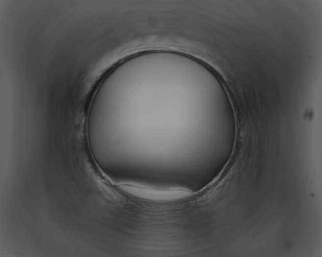 X0000089661507200707191637