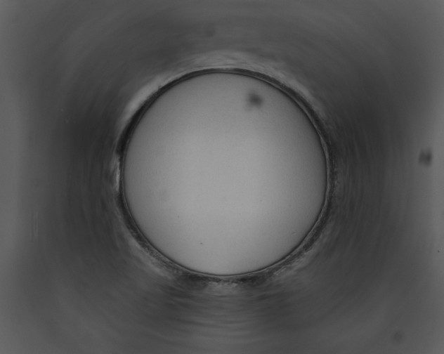 X0000089661509200707191637