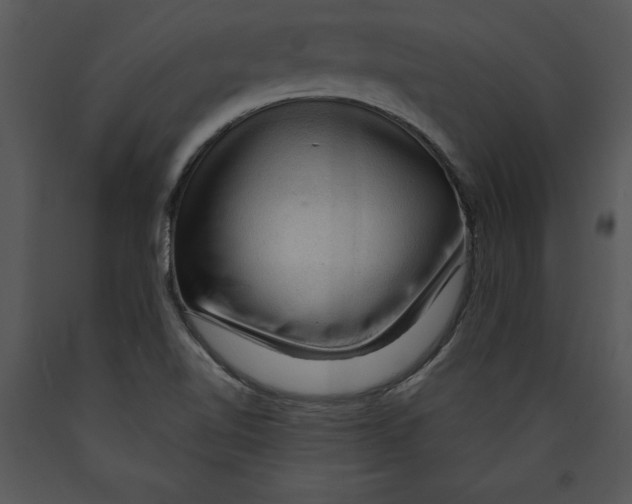 X0000089661510200707191637