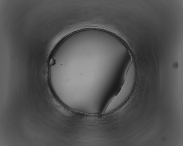 X0000089661511200707191637