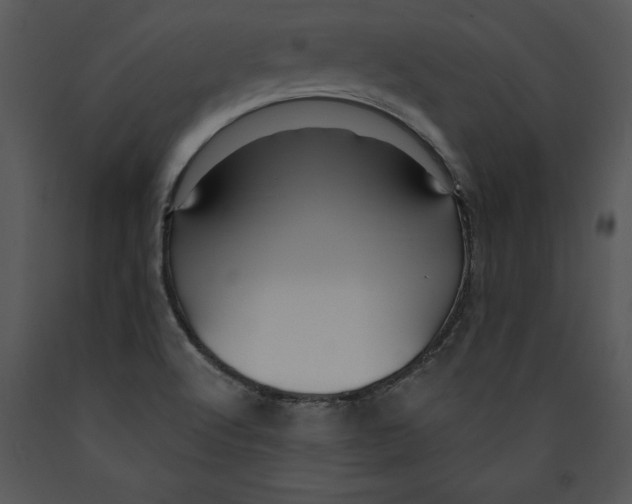 X0000089661512200707191637