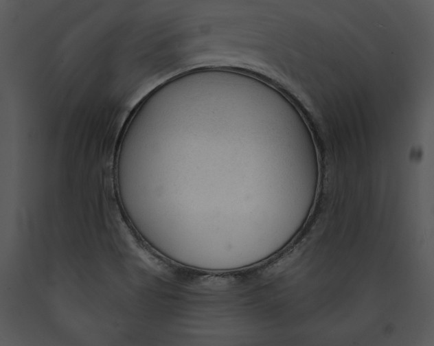 X0000089661513200707191637