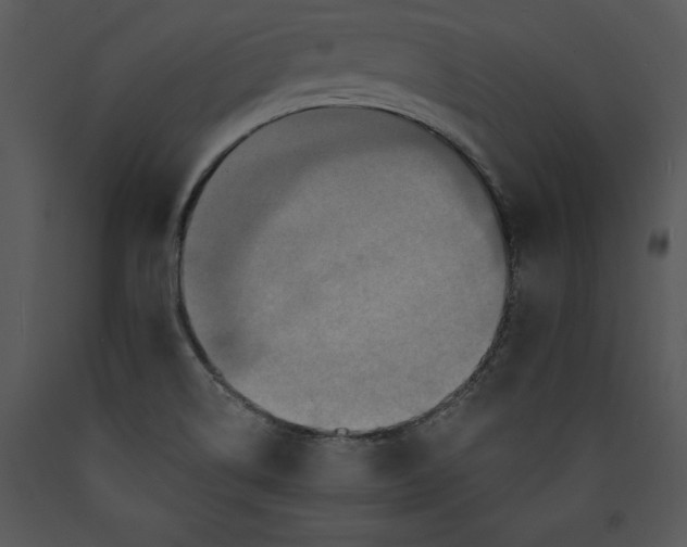 X0000089661514200707191637