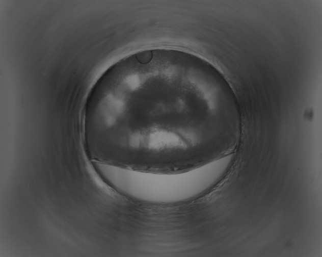 X0000089661515200707191637