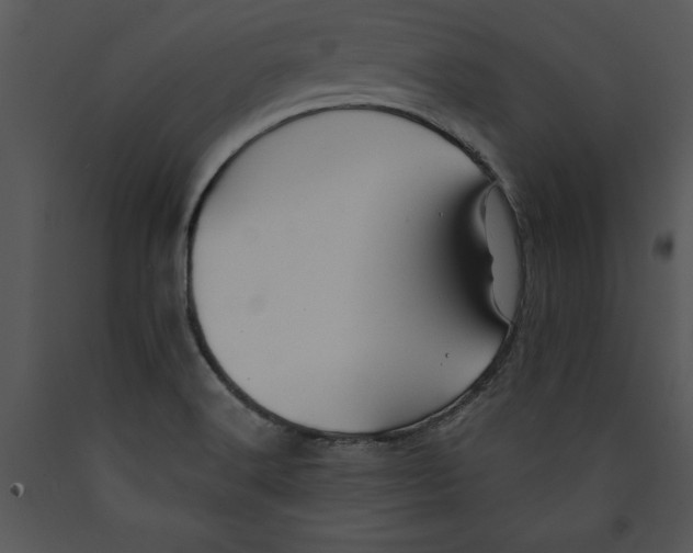 X0000089661516200707191637