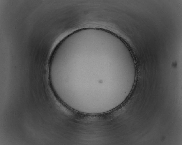 X0000089661517200707191637