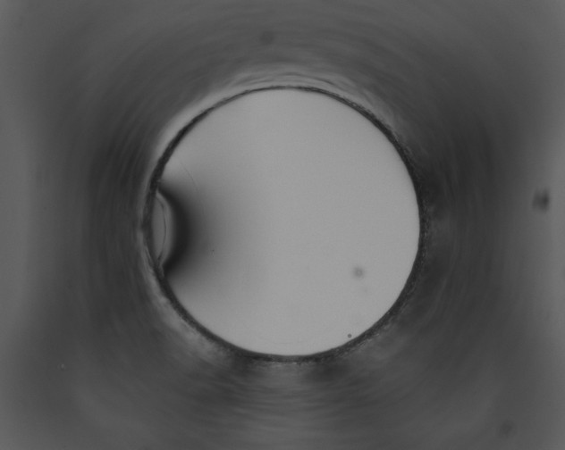 X0000089661518200707191637