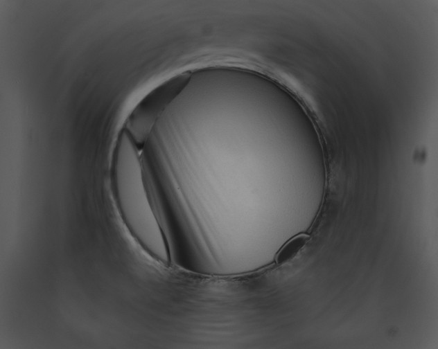 X0000089661520200707191637