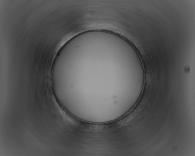 X0000089661521200707191637