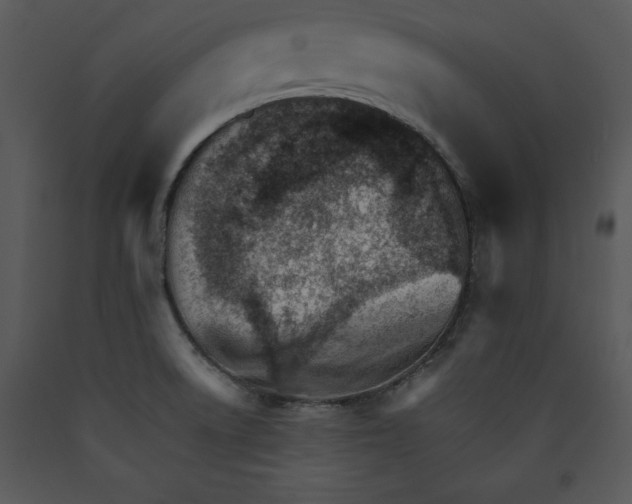 X0000089661522200707191637