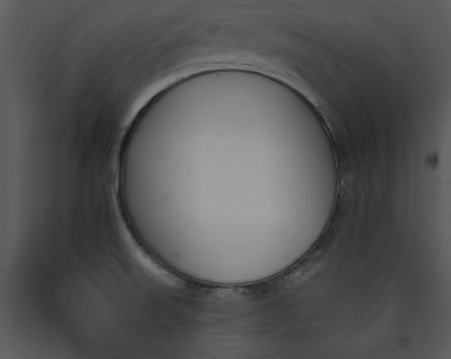 X0000089661523200707191637