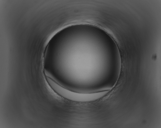 X0000089661524200707191637