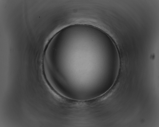 X0000089661525200707191637