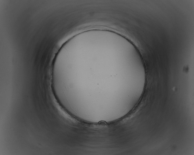 X0000089661526200707191637