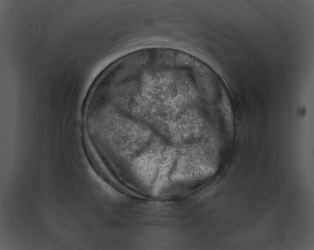 X0000089661527200707191637