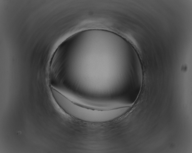 X0000089661528200707191637