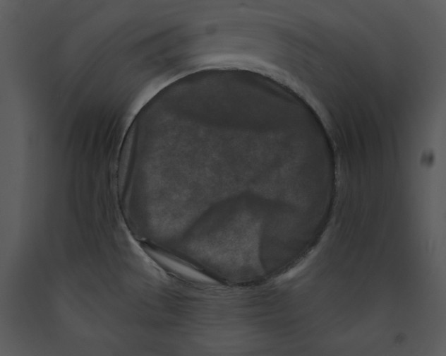 X0000089661529200707191637