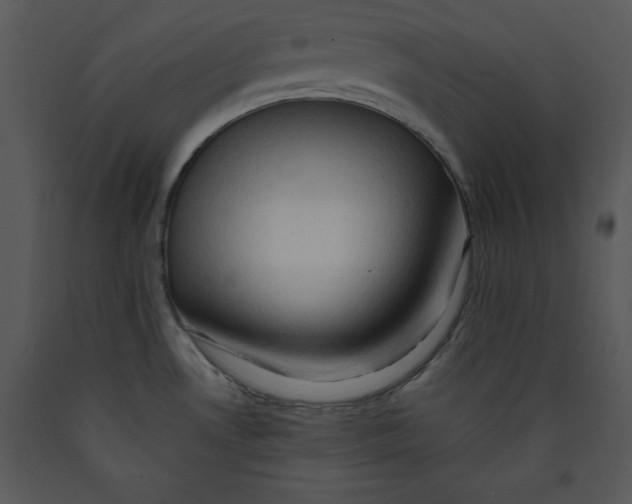 X0000089661530200707191637