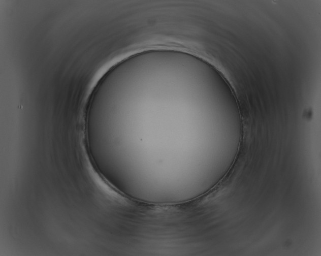 X0000089661531200707191637