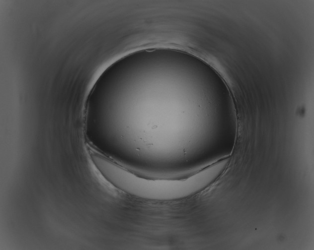 X0000089661532200707191637