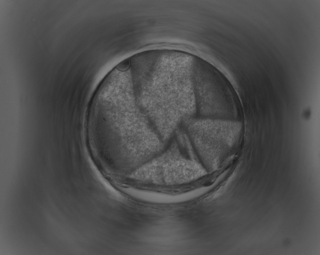 X0000089661533200707191637