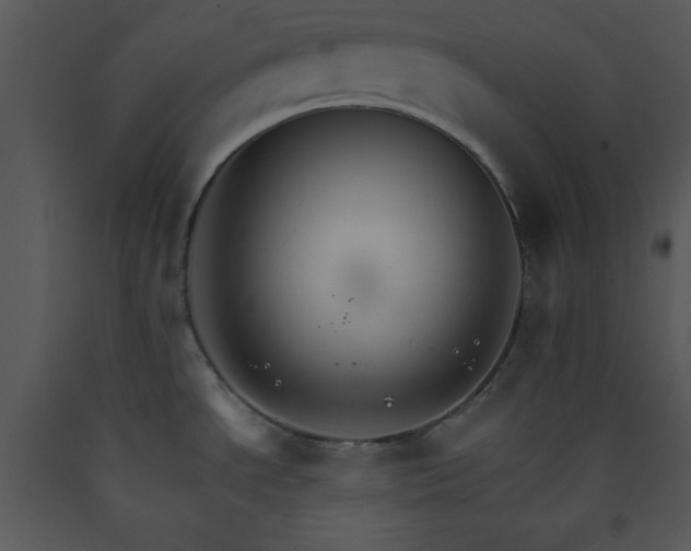 X0000089661534200707191637