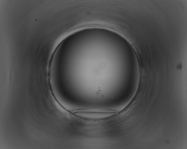 X0000089661535200707191637