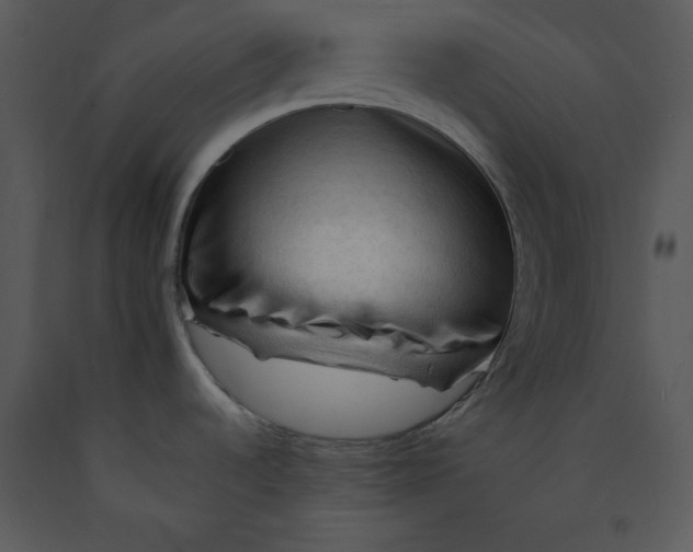 X0000089661536200707191637