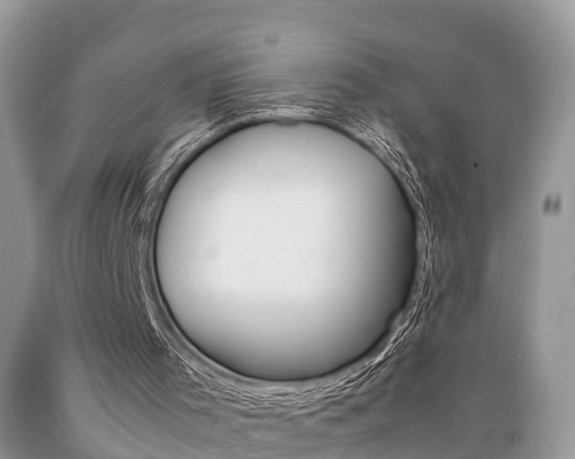 X0000089670001200706210803