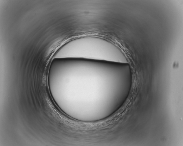 X0000089670002200706210803