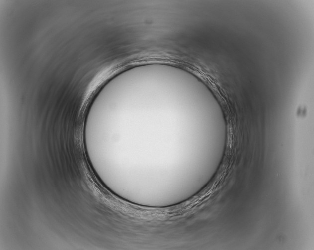 X0000089670004200706210803