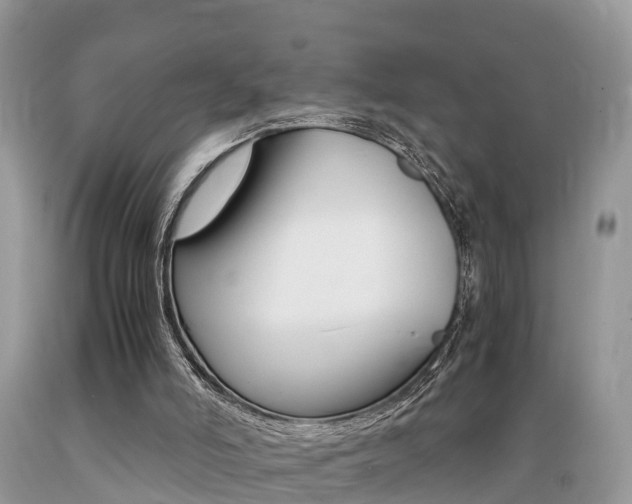X0000089670006200706210803