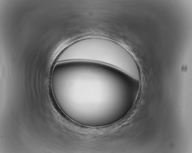 X0000089670007200706210803
