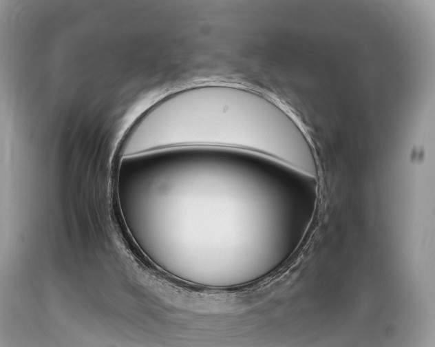X0000089670008200706210803