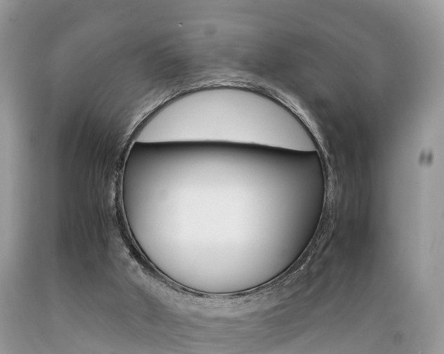 X0000089670010200706210803