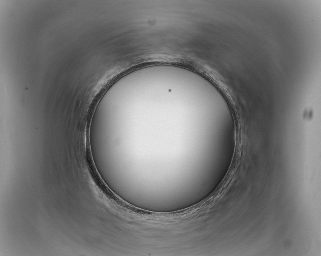 X0000089670011200706210803