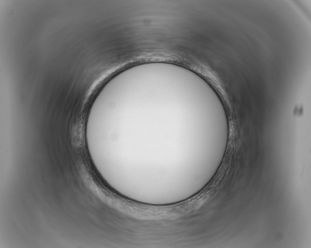 X0000089670012200706210803
