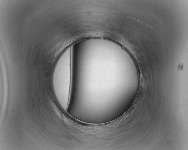 X0000089670013200706210803