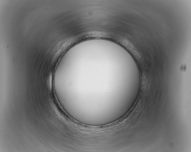 X0000089670014200706210803