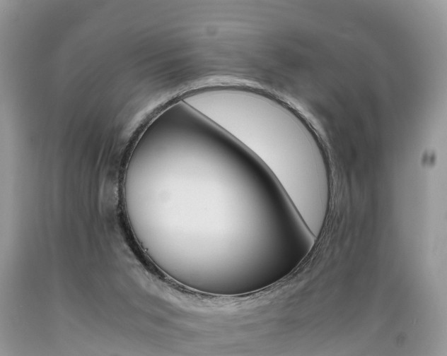 X0000089670015200706210803