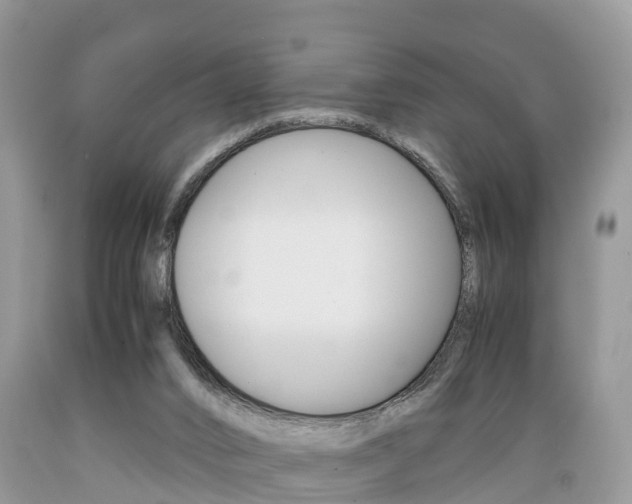 X0000089670016200706210803