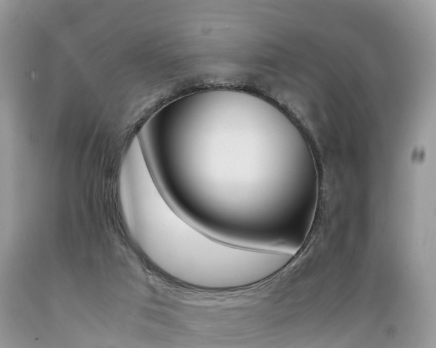 X0000089670017200706210803